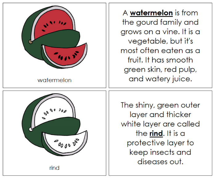 Parts of a Watermelon Nomenclature Book - Montessori Print Shop Digital Download