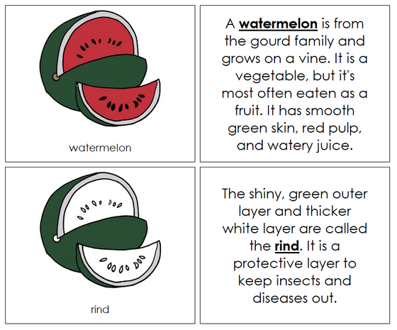 Parts of a Watermelon Nomenclature Book by Montessori Print Shop