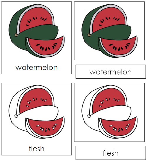 Watermelon Nomenclature 3-Part Cards - Montessori Print Shop Digital Download