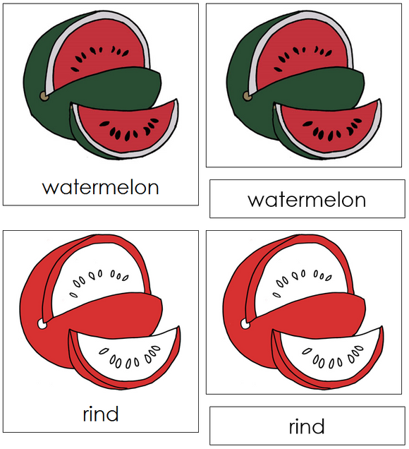 Watermelon Nomenclature Cards (red) - Montessori Print Shop