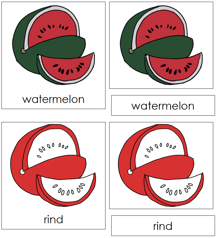 Watermelon Nomenclature 3-Part Cards (red) - Montessori Print Shop
