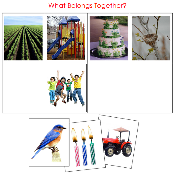 What Belongs Together? - Montessori Print Shop Digital Download