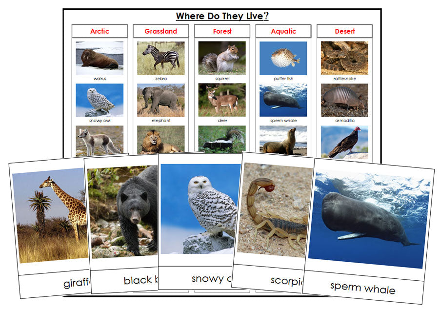 Where Do The Animals Live? - Montessori Print Shop zoology printable