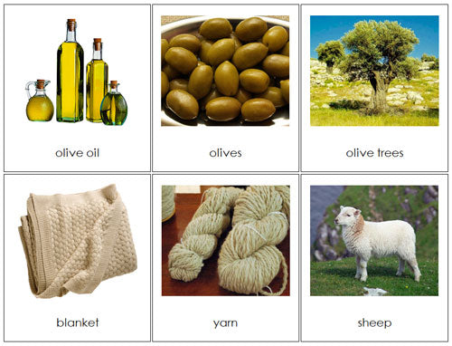Where Does It Come From (Set 1) - Montessori Print Shop Digital Download