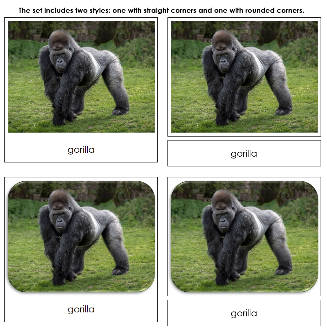 Wild Safari Toob Cards - Montessori Print Shop Digital Download