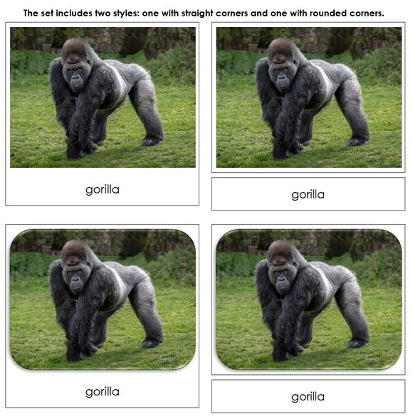 Wild Safari Toob Cards - Montessori Print Shop Digital Download