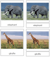 Wild Animal Cards - Montessori Print Shop