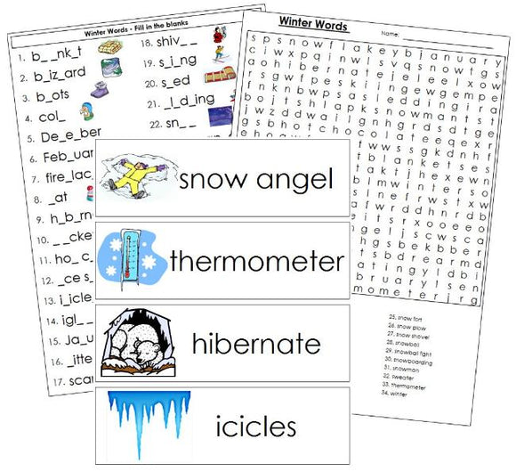 Winter Word Wall - Montessori Print Shop Digital Download