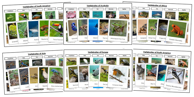 World Vertebrate Sorting Cards Bundle - Montessori Print Shop