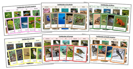 World Vertebrate Sorting Cards and Charts Bundle (color borders) - Montessori Print Shop