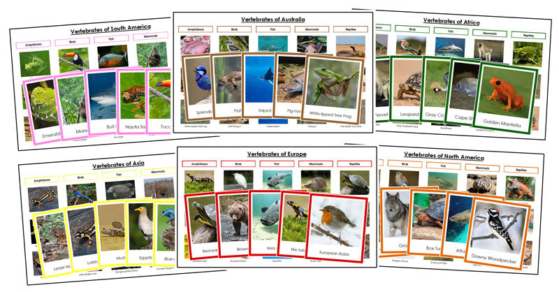 World Vertebrate Sorting Cards and Charts Bundle (color borders) - Montessori Print Shop
