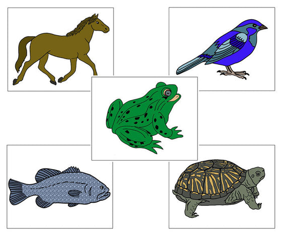 Zoology Nomenclature Bundle Set 1 - Montessori Print Shop Digital Download