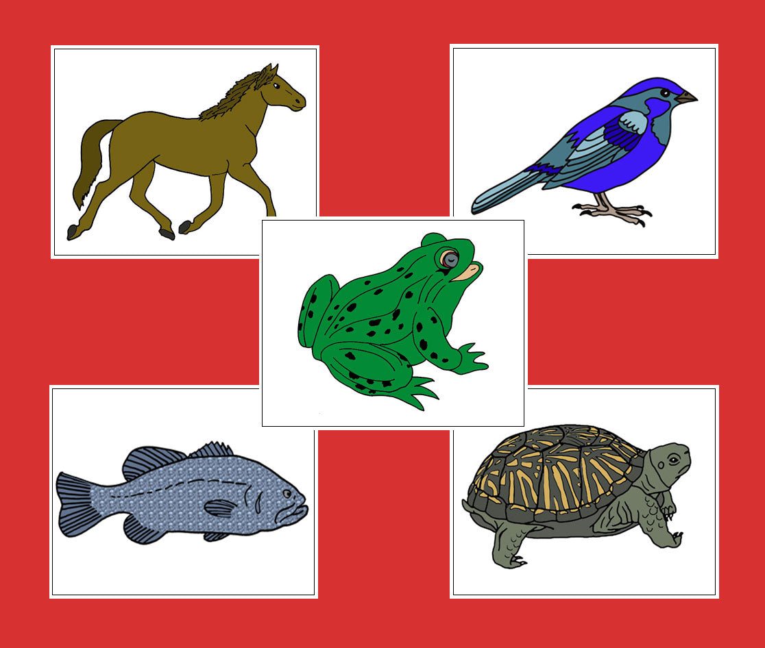 Zoology Nomenclature Bundle (Red) Set 1 - Montessori Print Shop Digital Download