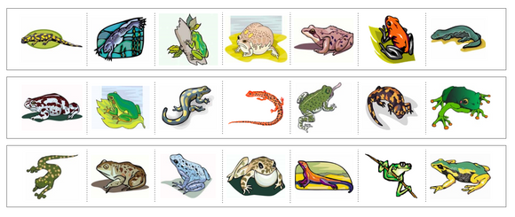 Amphibians Cutting Work - Preschool Activity by Montessori Print Shop