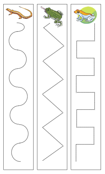 Amphibian Cutting Strips - Montessori cutting lesson
