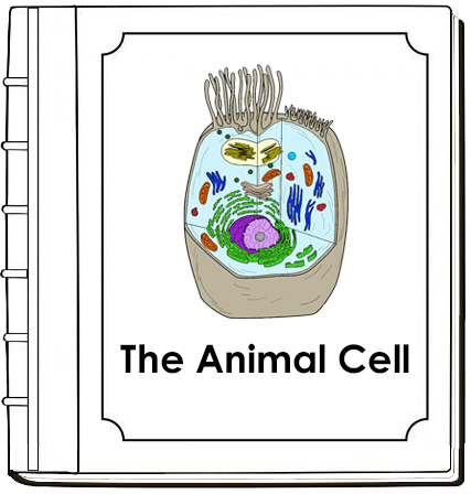 Animal Cell Nomenclature Book - Montessori Print Shop Digital Download