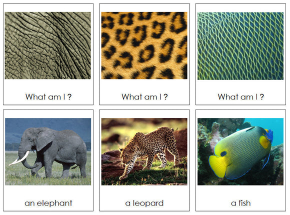 Animal Skin Matching Cards - Montessori Print Shop zoology cards