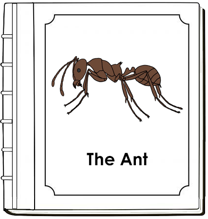 Parts of an Ant Nomenclature Book - Montessori Print Shop Digital Download