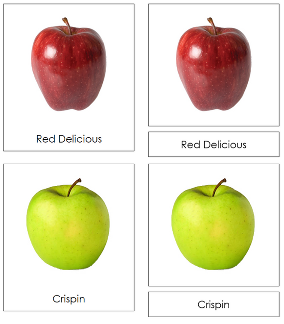 Types of Apples Classified Cards - Montessori Print Shop Digital Download