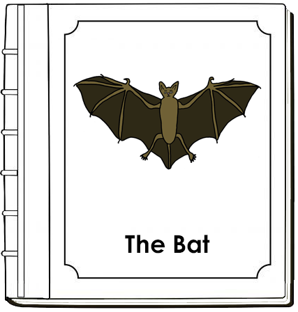 Parts of a Bat Nomenclature Book - Montessori Print Shop Digital Download