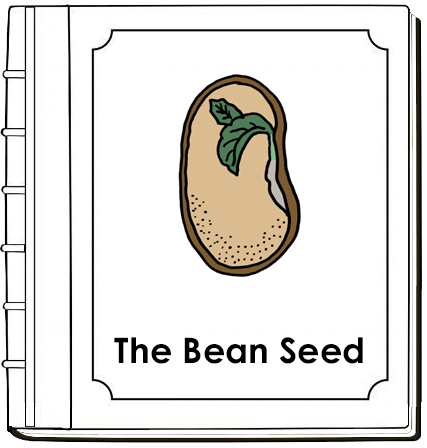 Parts of a Bean Seed Nomenclature Book - Montessori Print Shop Digital Download
