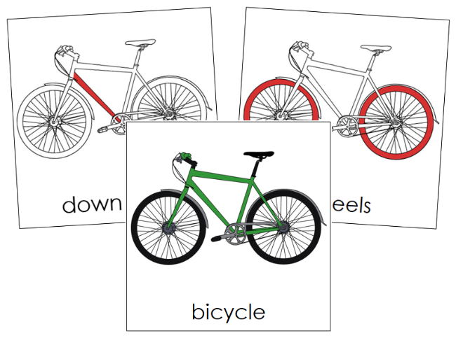 Bicycle Nomenclature Cards (red) - Montessori Print Shop Digital Download