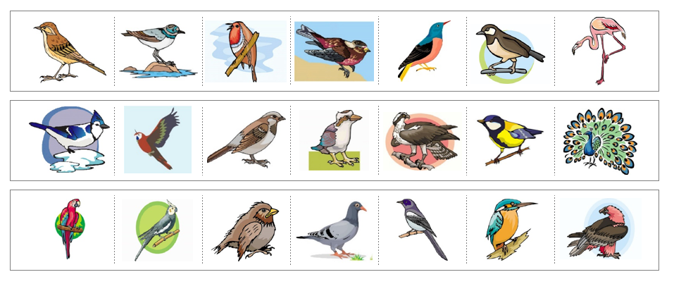 Printable Primary Bird Cutting Strips - Montessori Print Shop Digital Download