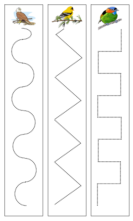 Printable Primary Bird Cutting Lesson - Montessori Print Shop Digital Download