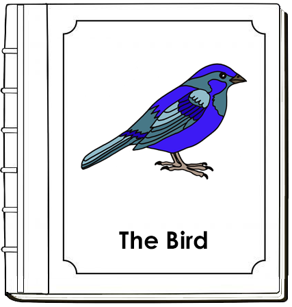 Parts of a Bird Nomenclature Book - Montessori Print Shop Digital Download