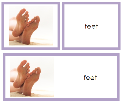 Body Part Words & Picture Cards - Montessori Print Shop Digital Download