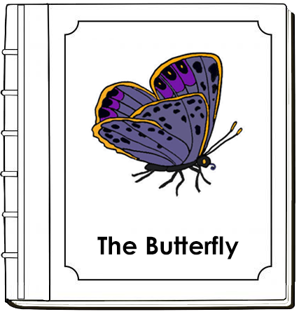 Parts of a Butterfly Nomenclature Book - Montessori Print Shop Digital Download