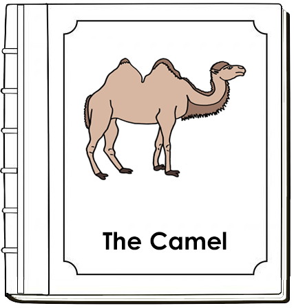Parts of a Camel Nomenclature Book - Montessori Print Shop Digital Download