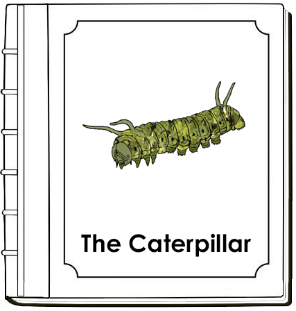 Parts of a Caterpillar Nomenclature Book - Montessori Print Shop Digital Download