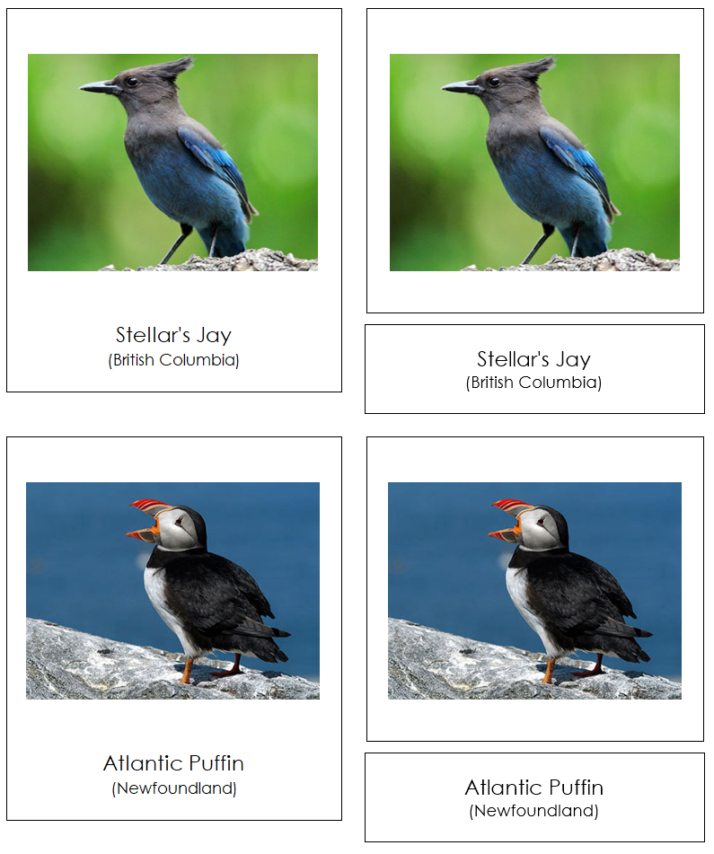 Provincial & Territorial Birds of Canada 3-Part Cards - Montessori Print Shop Digital Download