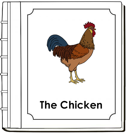 Chicken Nomenclature Book - Montessori Print Shop Digital Download
