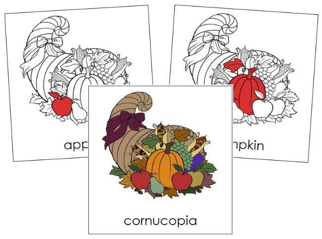 Parts of a Cornucopia 3-Part Nomenclature Cards (red) - Montessori Print Shop Digital Download