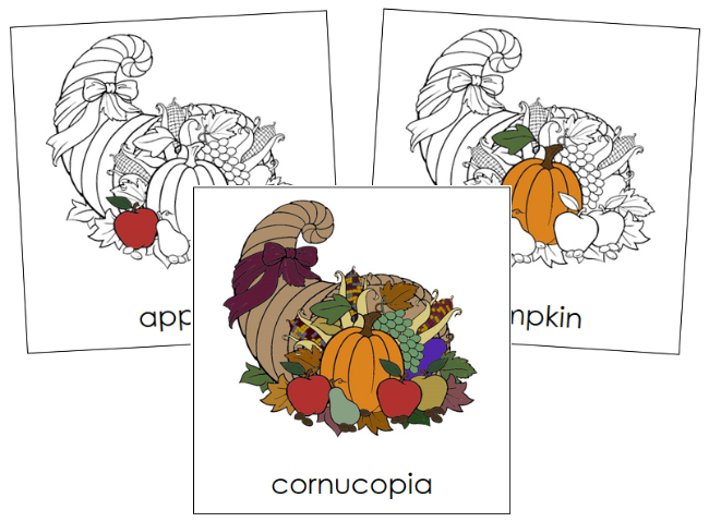 Parts of a Cornucopia 3-Part Nomenclature Cards - Montessori Print Shop Digital Download