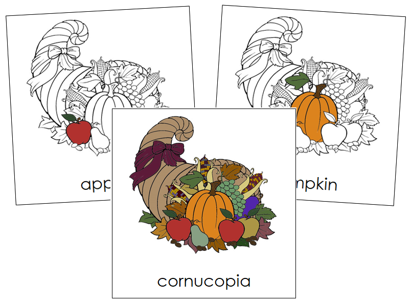 Cornucopia Nomenclature Cards - Montessori Print Shop