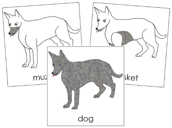 Parts of a Dog 3-Part Nomenclature Cards - Montessori Print Shop Digital Download