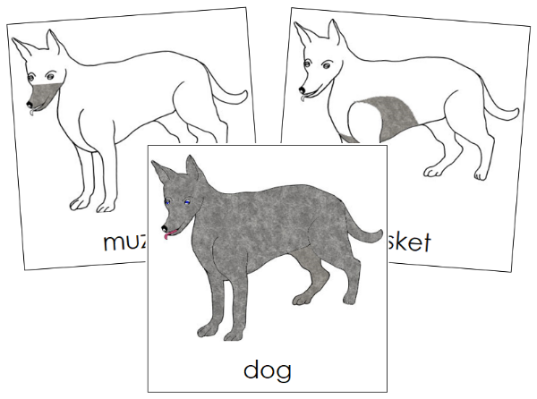 Parts of a Dog 3-Part Nomenclature Cards - Montessori Print Shop Digital Download