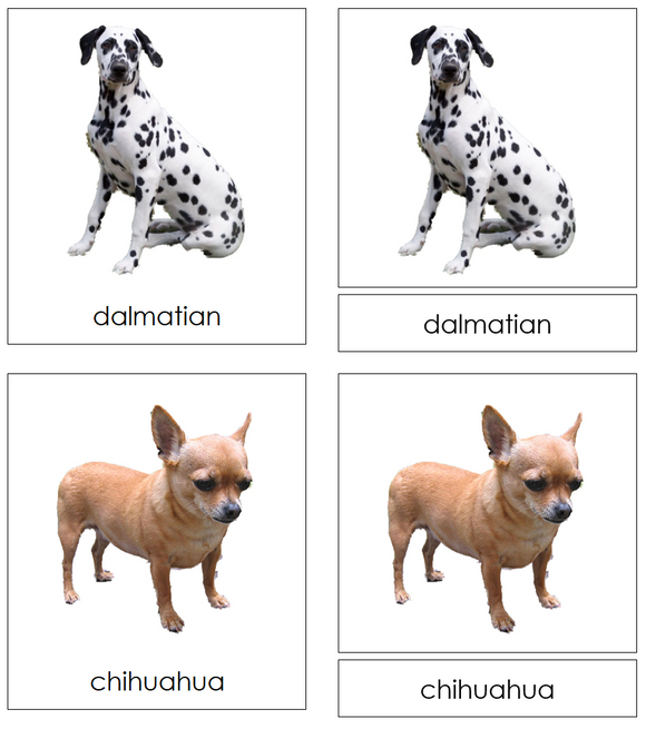 Types of Dogs 3-Part Cards - Montessori Print Shop Digital Download