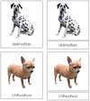 Dog Cards - Montessori Print Shop