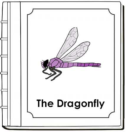 Parts of a Dragonfly Nomenclature Book - Montessori Print Shop Digital Download