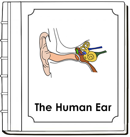 Parts of a Human Ear Nomenclature Book - Montessori Print Shop Digital Download