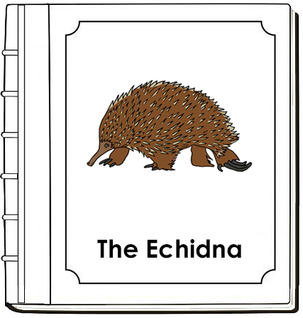 Parts of an Echidna Nomenclature Book - Montessori Print Shop Digital Download