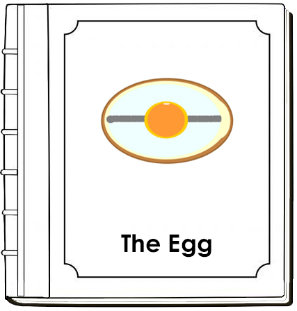 Egg Nomenclature Book - Montessori Print Shop Digital Download