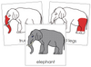 Elephant Nomenclature Cards (red) - Montessori Print Shop