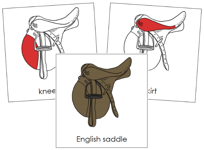 Parts of an English Saddle Nomenclature Cards (red) - Montessori Print Shop Digital Download