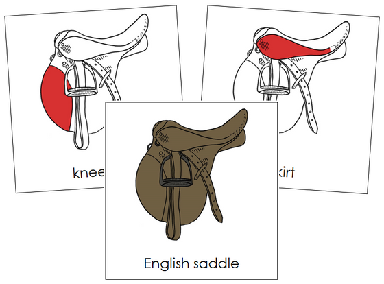 English Saddle Nomenclature Cards (red) - Montessori Print Shop