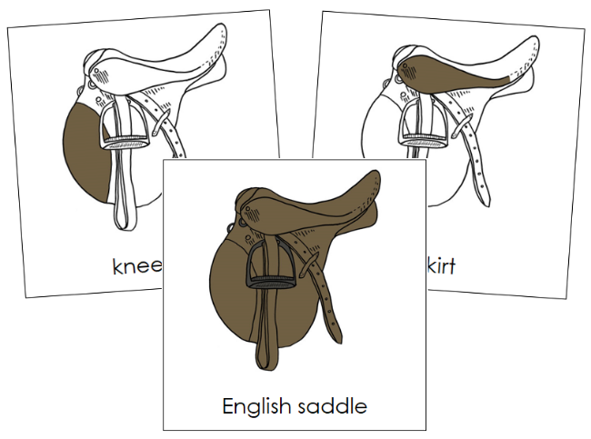 Parts of an English Saddle Nomenclature Cards - Montessori Print Shop Digital Download